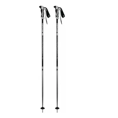 Síbot BLIZZARD Allmountain ski poles, silver