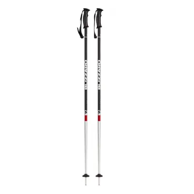 Síbot BLIZZARD Rental ski poles