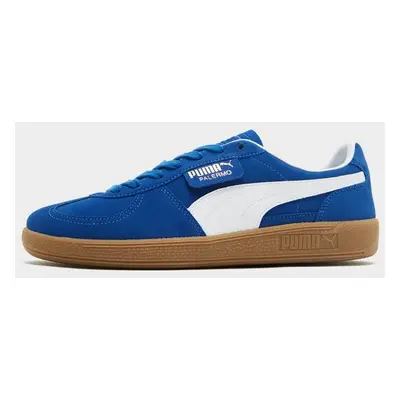 Puma Palermo