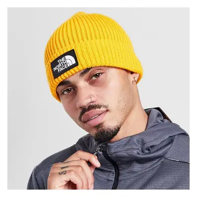 The North Face Sapka Tnf Logo Box Cuf Bne Winter Cap