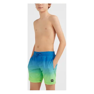 O'Neill Cali Gradient 14 Swim Shorts