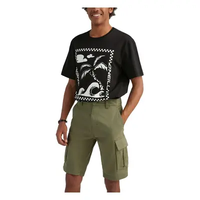 O'Neill Park Cargo Short