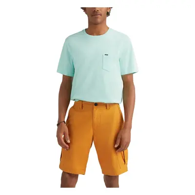 O'Neill Beach Break Cargo Shorts