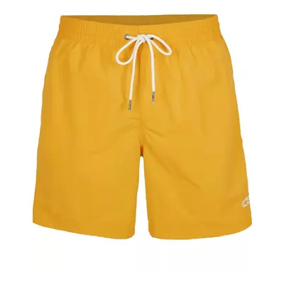 O'Neill Vert Swim Shorts