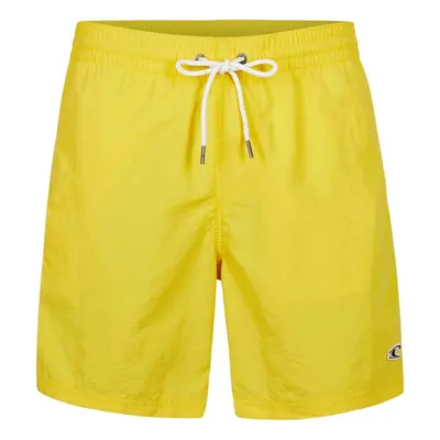 O'Neill Vert Swim 16 Shorts