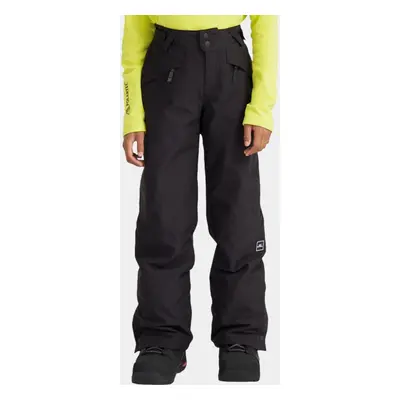 O'Neill Hammer Snow Pants