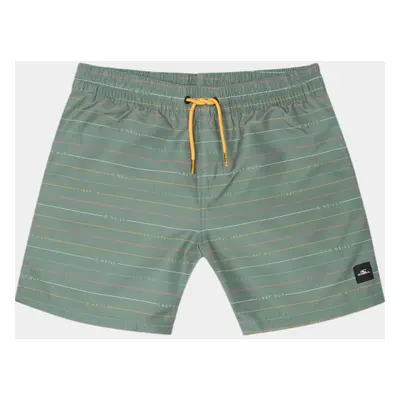 O'Neill Mix & Match Cali First 13 Swim Shorts