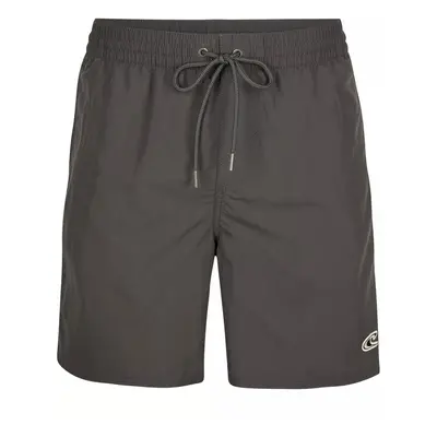 O'Neill Vert Swim Shorts