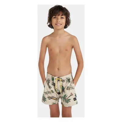 O'Neill Mix & Match Cali Print 13 Swim Shorts