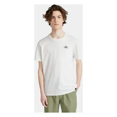 O'Neill O Neill Small Logo T-Shirt