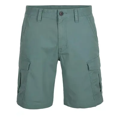 O'Neill Beach Break Cargo Shorts