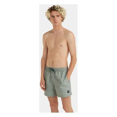 O'Neill Jack O Neill Cali First 15 Swim Shorts