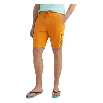 O'Neill Sweat Shorts Men