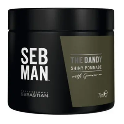 Sebastian Professional Seb Man The Dandy Pomade 75 ml