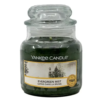 Yankee Candle Evergreen Mist Small Jar 104 g