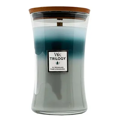 WoodWick Large Hourglass Candle Icy Woodland Trilogy 610 g