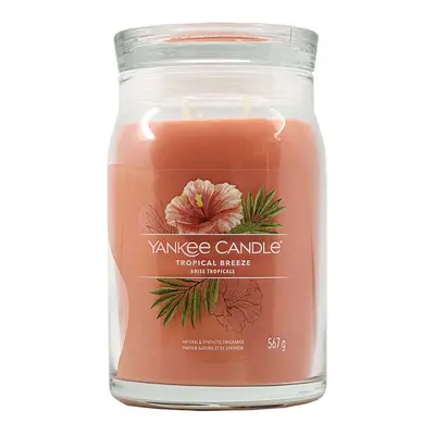 Yankee Candle Signature Large Jar Spiced Tropical Breeze 567 g