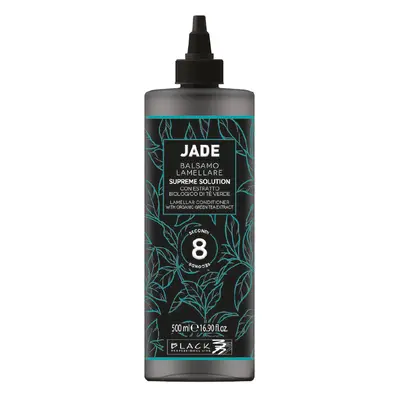 Black Professional Line Jade Lamellar Conditioner 500 ml