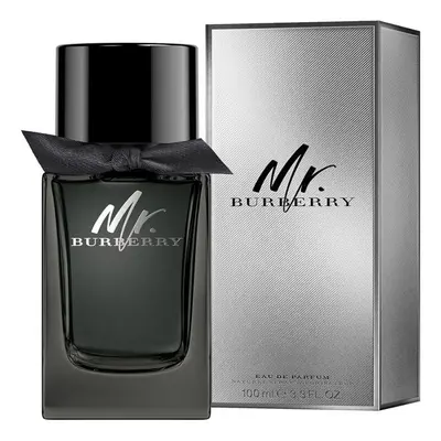 Burberry Mr. Burberry EdP 100 ml