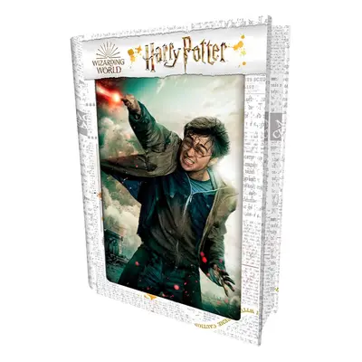 3D PUZZLE Harry Potter-Harry Potter 300db, W019133