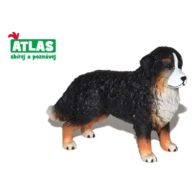 B - Figurin Bernese Mountain Dog 8 cm, Atlas, W101862