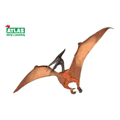 C - Dino Pteranodon 22cm, Atlas, W101836