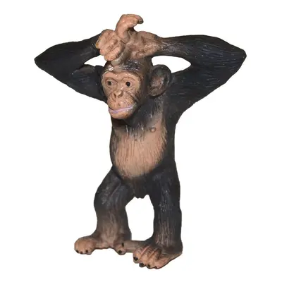A - Chimpanzing 6 cm, Atlas, W101890
