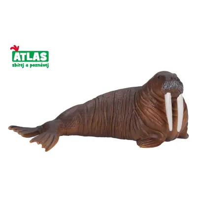 C - Walrus figurin 13 cm, Atlas, W001791