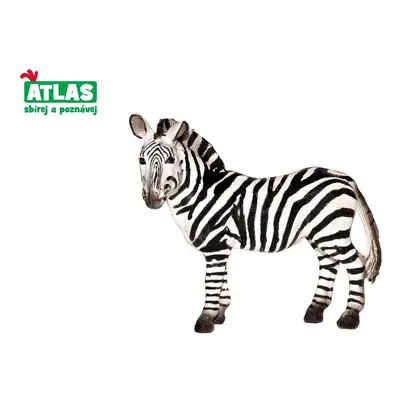 D - Zebra 10cm figurin, Atlas, W101819