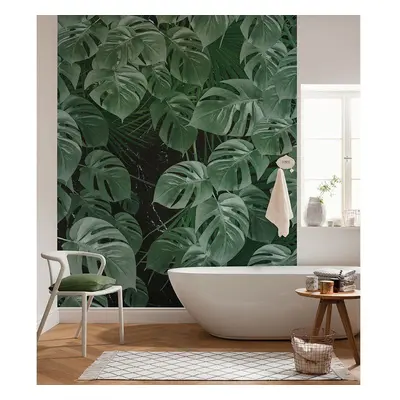 Monstera növény mintás tapéta, 200x250 cm, zöld - MONSTERA - Butopêa