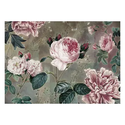 Bazsarózsákat ábrázoló tapéta, 350x250 cm, rózsaszín - sötétzöld - ROSES - Butopêa