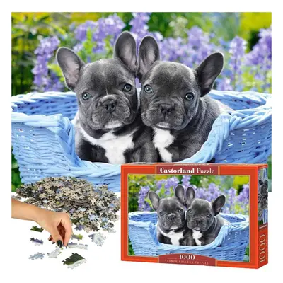 CASTORLAND Puzzle Francia bulldogok 68x47cm - 1000