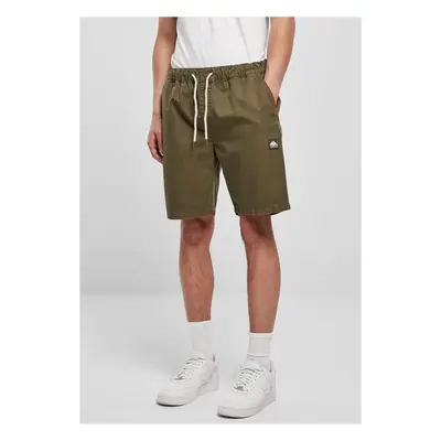 Southpole Twill Shorts olive