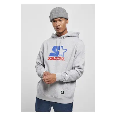 Starter Two Color Logo Hoody h.grey