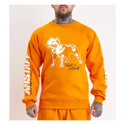 Amstaff Logo 2.0 Sweatshirt Orange