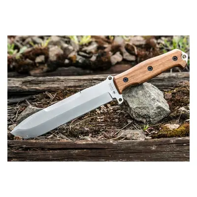 Kizlyar Supreme Survivalist X AUS-8 LSW Walnut kés