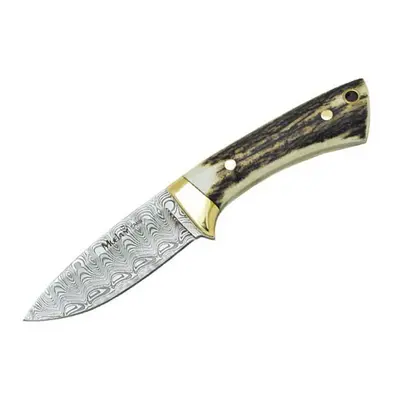 Muela Colibri Stag Damascus COL-7DAM