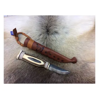 Wood Jewel Zebrapuukko