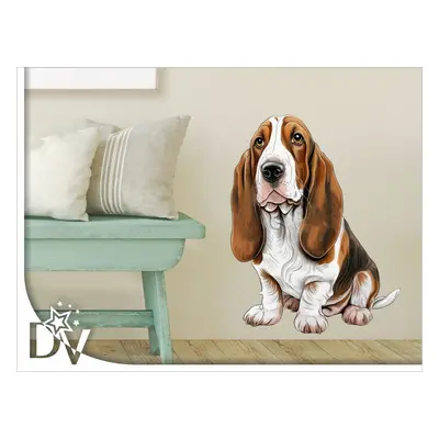 Falmatrica - Basset hound