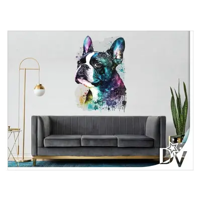 Falmatrica - Boston terrier