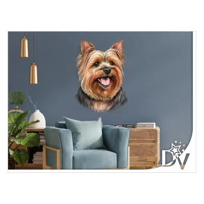 Falmatrica - Yorkshire Terrier - Yorkie