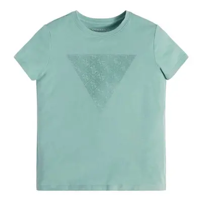 Guess SS T SHIRT Rövid ujjú pólók Kék