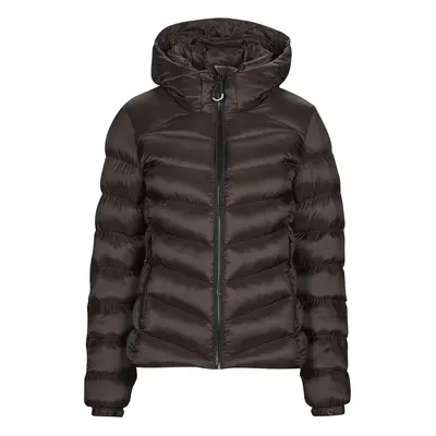 Superdry HOODED FUJI PADDED JACKET Steppelt kabátok Barna