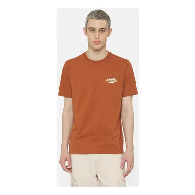 Dickies Ss ruston tee Pólók / Galléros Pólók Barna