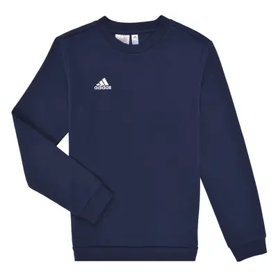 adidas ENT22 SW TOPY Pulóverek Tengerész