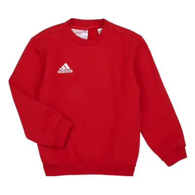 adidas ENT22 SW TOPY Pulóverek Piros