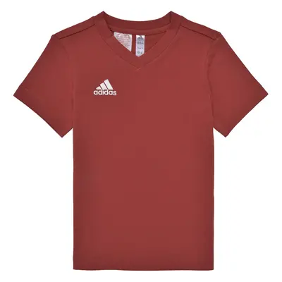 adidas ENT22 TEE Y Rövid ujjú pólók Piros