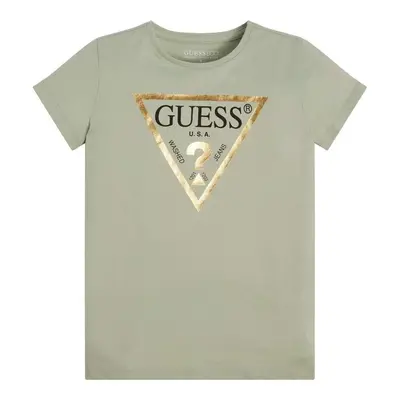 Guess SS T SHIRT CORE Rövid ujjú pólók Zöld