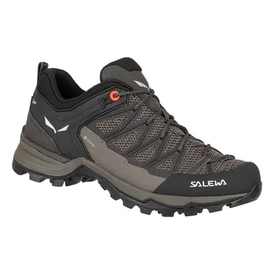 Salewa Mtn Trainer Lite GTX 61362-7517 Túracipők Sokszínű