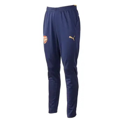 Puma AFC TRAINING PANTS Melegítő együttesek Kék